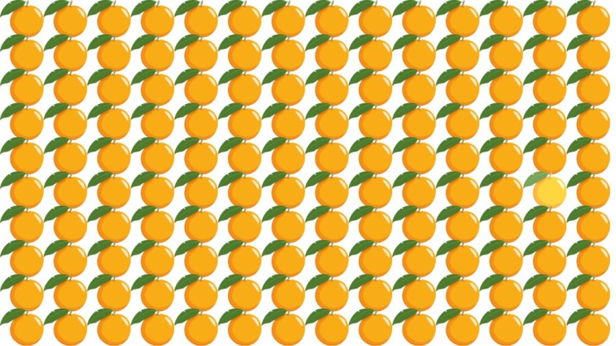 Brain Teaser to Test your Eyes: Can you Find the Odd One Out in this Picture in 15 Secs?