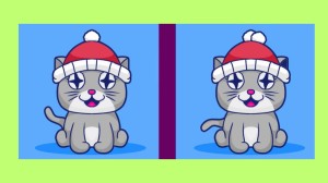 Brain Teaser Spot the Difference Puzzle: Can you Spot 3 Differences in these Pictures?