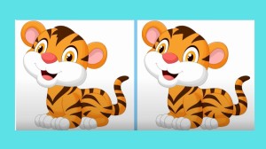 Brain Teaser Spot the Difference Puzzle: Can you Spot 3 Differences in these Pictures?