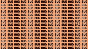 Brain Test: If you have Hawk Eyes Find the Word Bag among Bug in 15 Secs