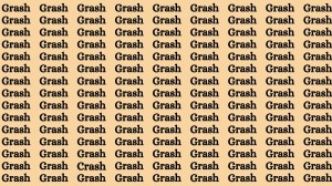 Brain Test: If you have Hawk Eyes Find the Word Crash among Grash in 15 Secs