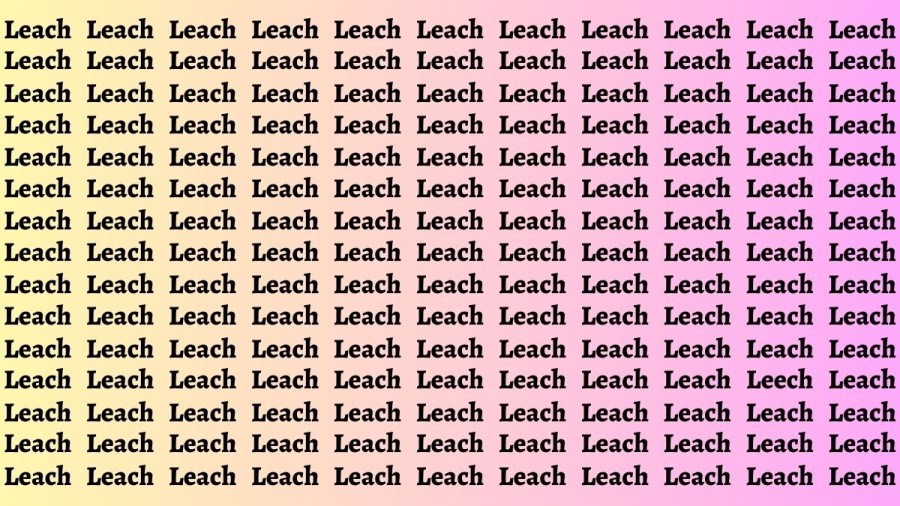 Brain Test: If you have Hawk Eyes Find the Word Leech among Leach in 18 Secs