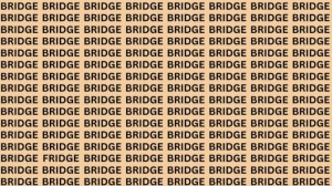 Can You Find Fridge Among Bridge in 18 Secs? Explanation And Solution To The Optical Illusion Eye Test