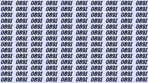 Can You Spot 0861 among 0891 in 7 Seconds? Explanation And Solution To The Optical Illusion