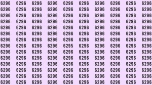 Can You Spot 6295 among 6296 in 15 Seconds? Explanation And Solution To The Optical Illusion