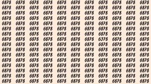 Can You Spot 6378 among 6878 in 20 Seconds? Explanation and Solution to the Optical Illusion