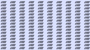 Can You Spot 6908 among 6988 in 10 Seconds? Explanation and Solution to the Optical Illusion