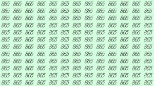 Can You Spot 866 among 865 in 30 Seconds? Explanation And Solution To The Optical Illusion