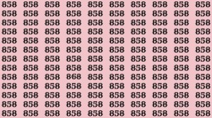 Can You Spot 868 among 858 in 30 Seconds? Explanation and Solution to the Optical Illusion