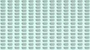 Can You Spot 9273 among 9213 in 15 Seconds? Explanation and Solution to the Optical Illusion