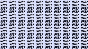 Can You Spot 9737 among 9787 in 5 Seconds? Explanation and Solution to the Optical Illusion