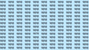 Can You Spot 9878 among 9818 in 30 Seconds? Explanation And Solution To The Optical Illusion