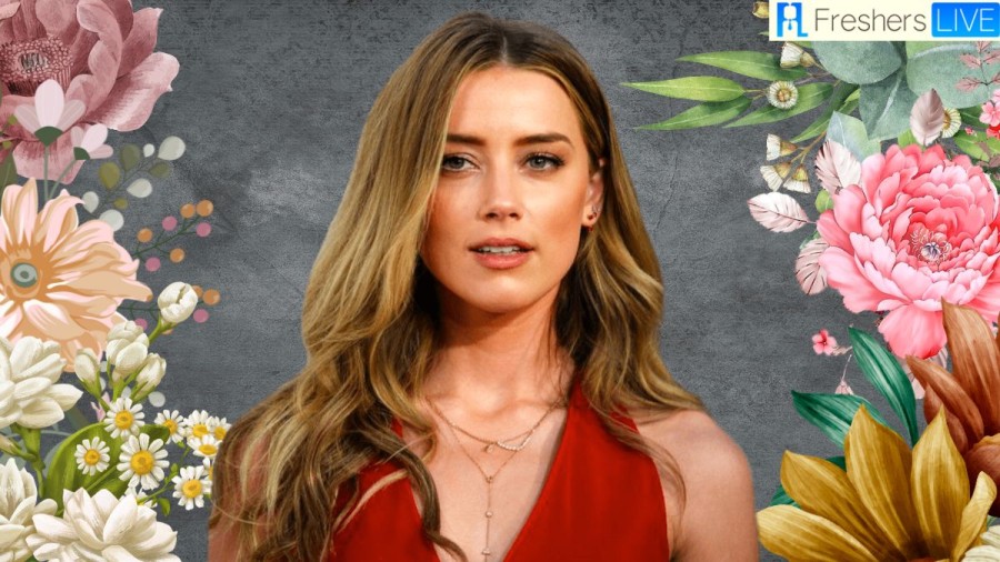 Does Amber Heard have a Child? Biography for Kids and More