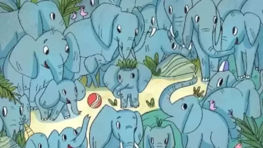 Explanation And Solution To The Optical Illusion: Can You Find the Hidden Rhino among the Elephants within 25 Secs?