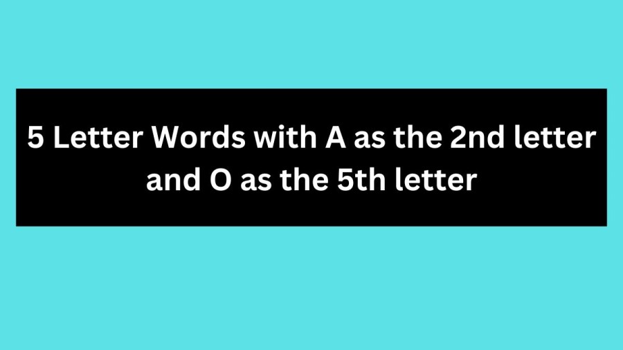 5 Letter Words with A as the 2nd letter and O as the 5th letter - Wordle Hint