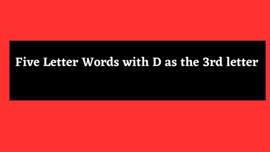 5 Letter Words with D as the 3rd letter  - Wordle Hint