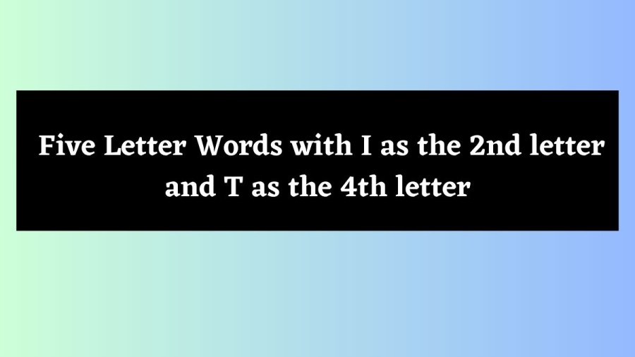 5 Letter Words with I as the 2nd letter and T as the 4th letter - Wordle Hint