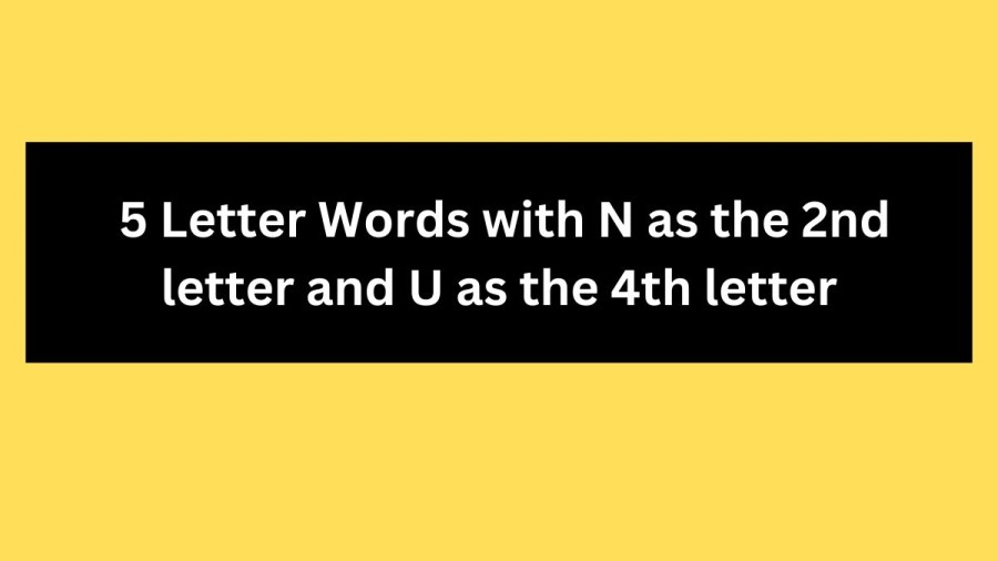 5 Letter Words with N as the 2nd letter and U as the 4th letter - Wordle Hint