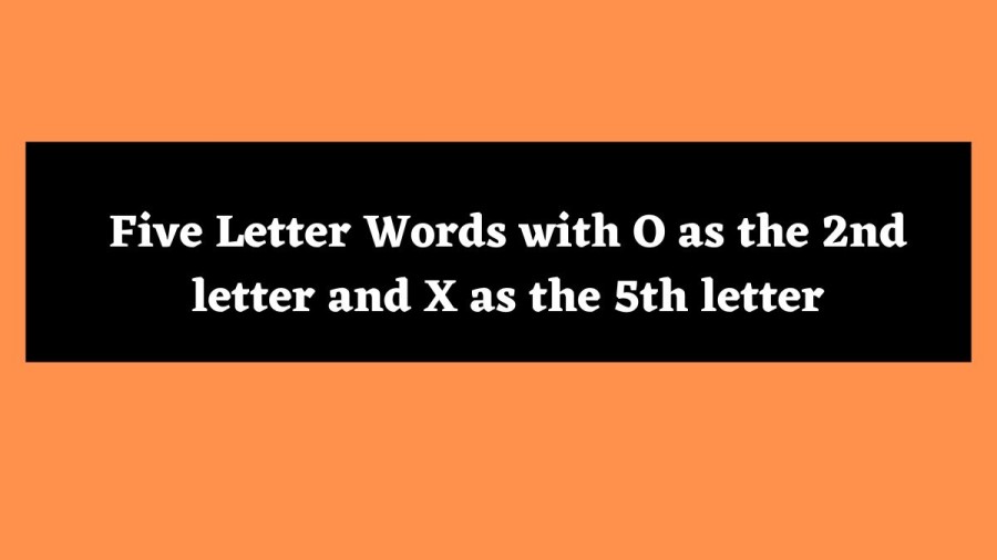 5 Letter Words with O as the 2nd letter and X as the 5th letter - Wordle Hint