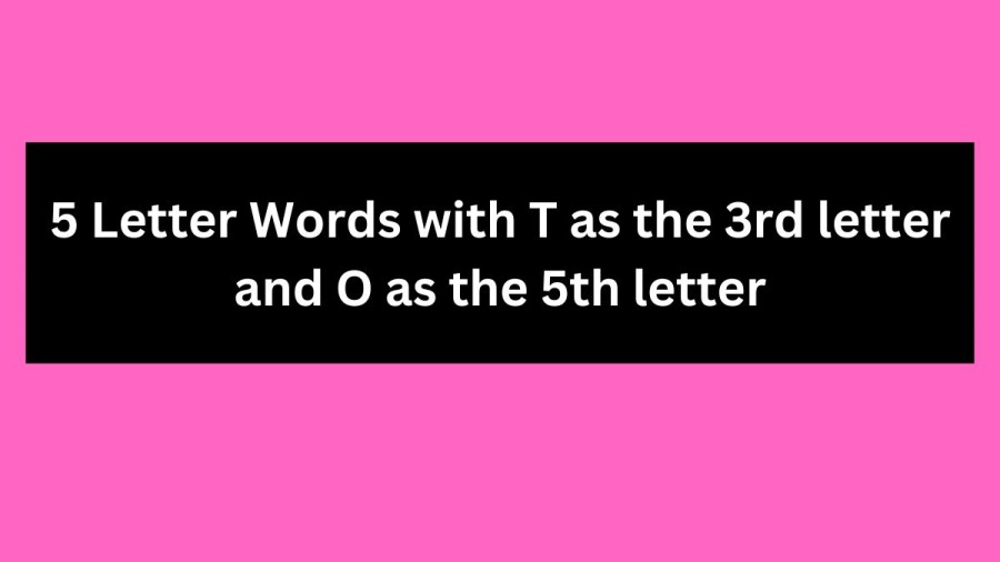 5 Letter Words with T as the 3rd letter and O as the 5th letter - Wordle Hint