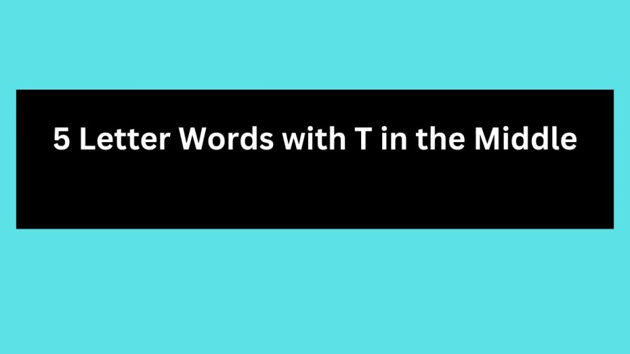 5 Letter Words with T in the Middle - Wordle Hint