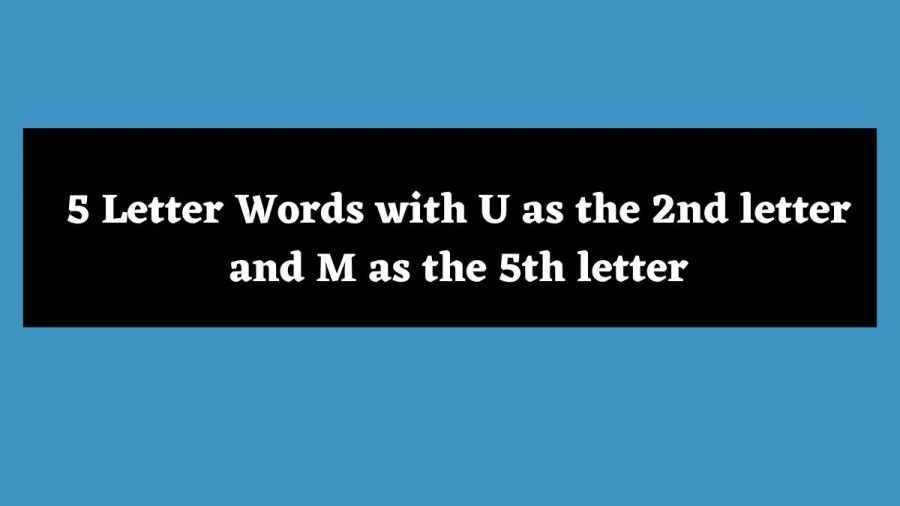 5 Letter Words with U as the 2nd letter and M as the 5th letter - Wordle Hint