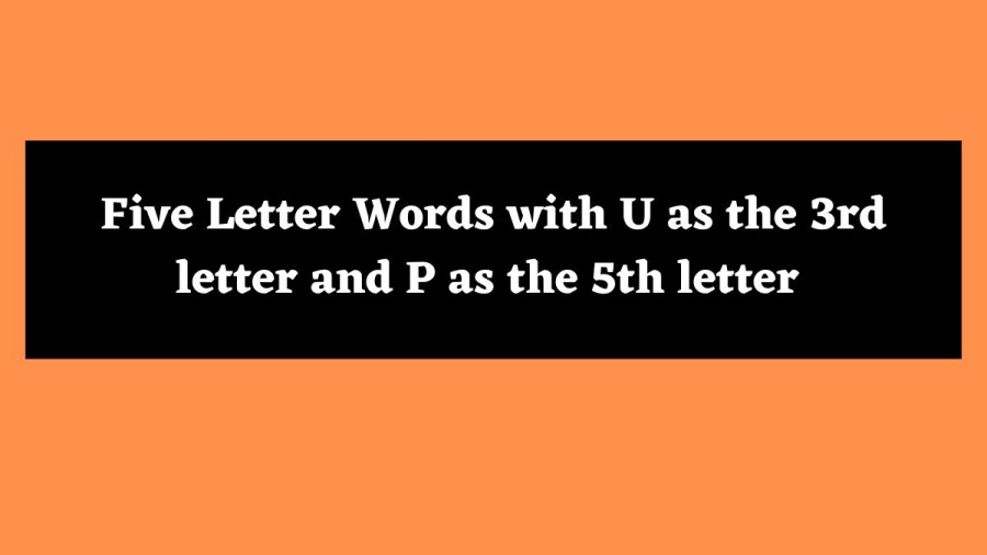 5 Letter Words with U as the 3rd letter and P as the 5th letter - Wordle Hint