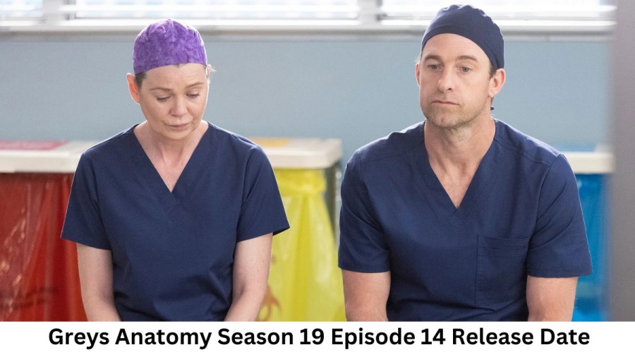 Greys Anatomy Season 19 Episode 14 Release Date and Time, Countdown, When Is It Coming Out?