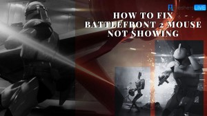 How to Fix Battlefront 2 Mouse Not Showing? A Complete Guide