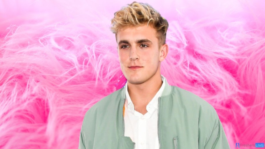 Jake Paul Girlfriend 2023, Who is Jutta Leerdam?