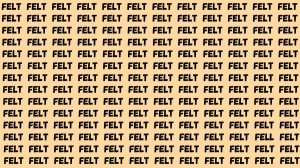 Observation Brain Test: If you have Eagle Eyes Find the Word Fell among Felt in 12 Secs