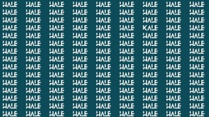 Observation Brain Test: If you have Hawk Eyes Find the Word Kale among Hale in 15 Secs