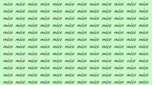 Observation Brain Test: If you have Hawk Eyes find the Word Nice among Mice in 20 Secs