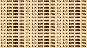 Observation Brain Test: If you have Hawk Eyes Find the Word Pin among Bin In 15 Secs