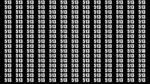 Observation Brain Test: If you have Keen Eyes Find the Number 518 among 513 in 15 Secs