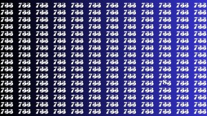 Observation Brain Test: If you have Keen Eyes Find the Number 783 among 733 in 15 Secs