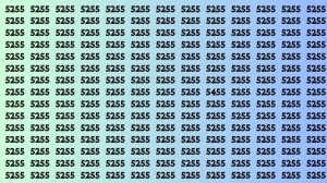 Observation Brain Test: If you have Sharp Eyes Find the Number 5455 among 5255 in 20 Secs