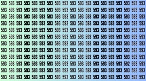 Observation Brain Test: If you have Sharp Eyes Find the Number 592 among 593 in 10 Secs