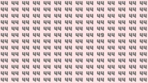 Observation Skill Test: Can you find the number 49 among 44 in 10 seconds?