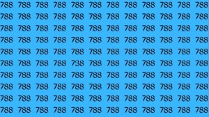 Observation Skill Test: Can you find the number 738 among 788 in 10 seconds?