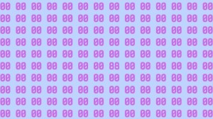 Observation Skill Test: Can you find the number 88 among 00 in 10 seconds?