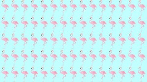 Observation Skill Test: Can you spot which Flamingo is different in 10 seconds?