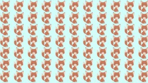 Observation Skill Test: Can you spot which Fox is different in 10 seconds?