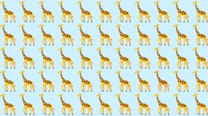 Observation Skill Test: Can you spot which Giraffe is different in 10 seconds?