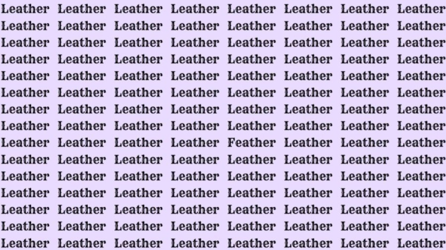 Observation Skill Test: If you have Eagle Eyes find the Word Feather among Leather in 20 Secs