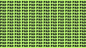 Optical Illusion: If you have Eagle Eyes Find the word BAD among PAD in 14 Secs