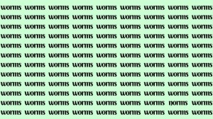 Observation Skill Test: If you have Eagle Eyes find the Word Norms among Worms in 20 Secs