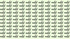 Observation Skill Test: If you have Hawk Eyes find the Word Mild among Mold in 20 Secs