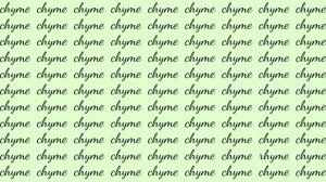 Observation Skill Test: If you have Hawk Eyes find the Word Rhyme among Chyme in 20 Secs