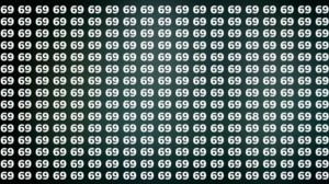 Observation Skills Test: Can you find the number 68 among 69 in 10 seconds?